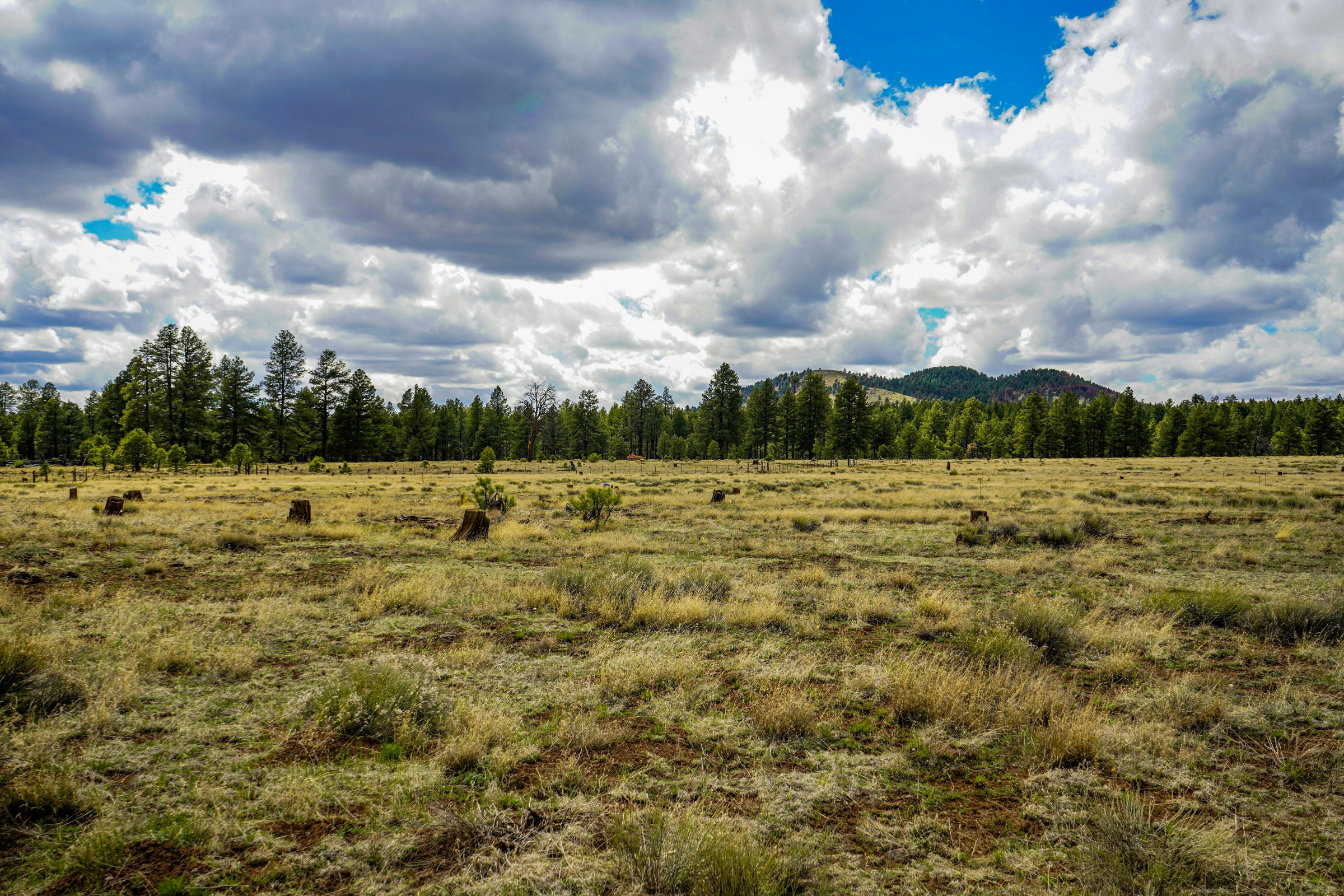 flagstaff, arizona (4).webp